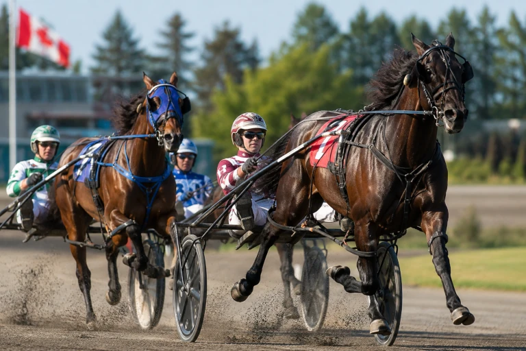 Harness racing horses and drivers competing on a Maritime dirt track during sunset